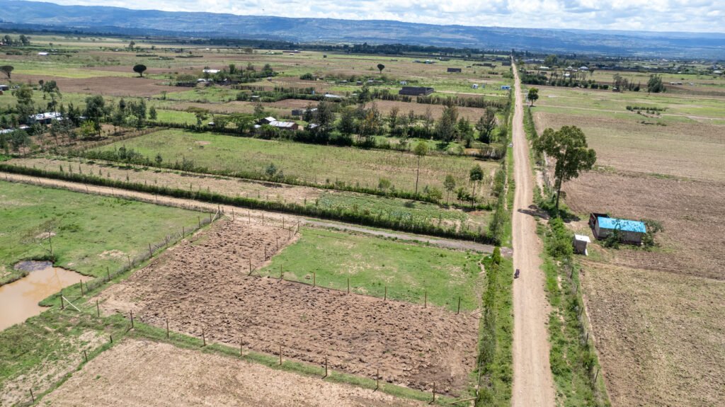Hills View Phase III Plots, Mutaita