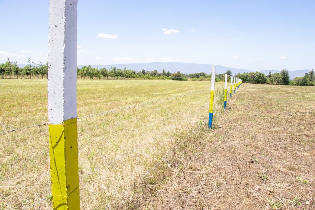 Mang’u Fields Phase V Plots