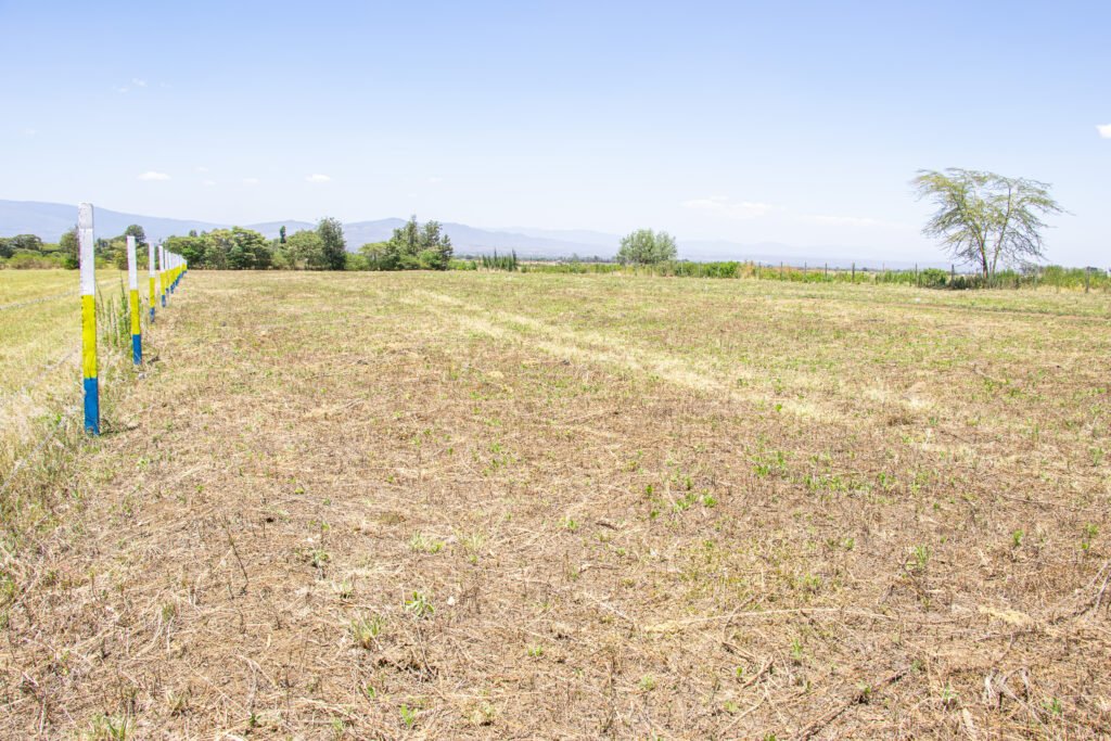 Mang’u Fields Phase V Plots
