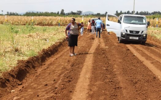 SPRING FIELDS PLOTS,  BAHATI
