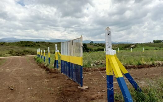 SPRING FIELDS PLOTS,  BAHATI