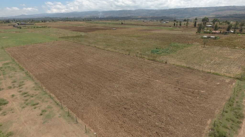 Tulivu Gardens, 50 by 100 Plots