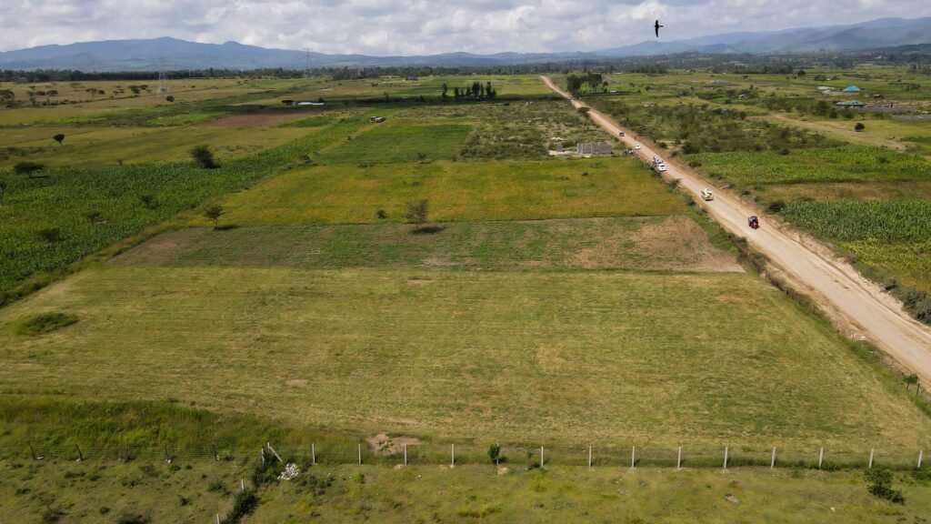 Tulivu Gardens, 50 by 100 Plots