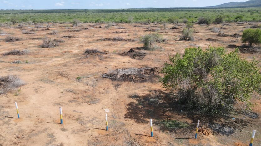 SUNFIELD ESTATE PLOTS, MALINDI