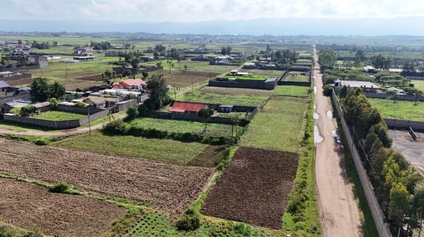 GOLDEN ESTATE PIPELINE (JB)