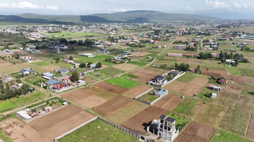 GOLDEN ESTATE PIPELINE (JB)