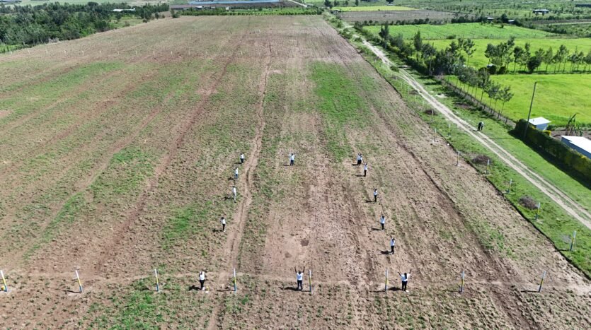 GOLDEN ESTATE PIPELINE (JB)