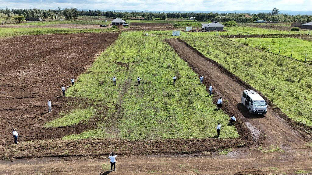 Ushindi Courts Phase III (Mastoo)