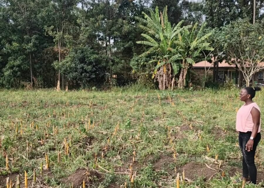 Hacienda Fields (Mang’u Mastoo)  Plots