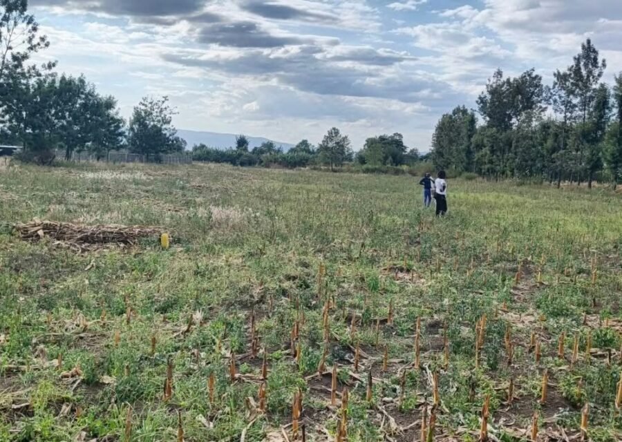 Hacienda Fields (Mang’u Mastoo)  Plots