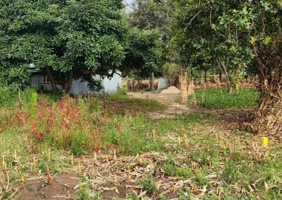 Hacienda Fields (Mang’u Mastoo)  Plots